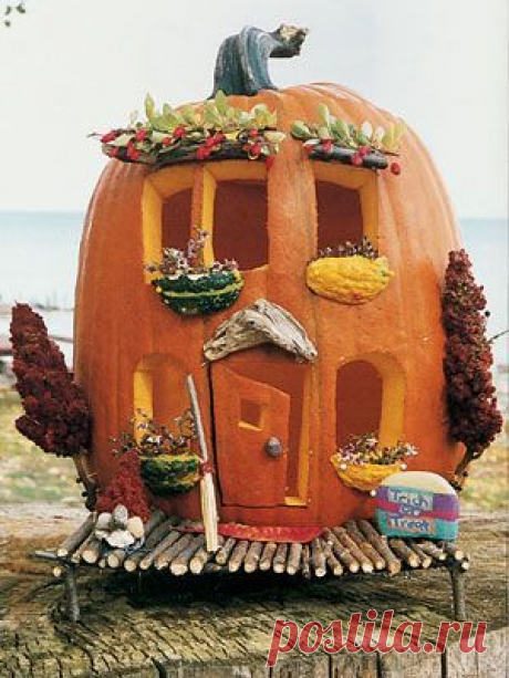 Cool Carved Pumpkin Ideas for Halloween