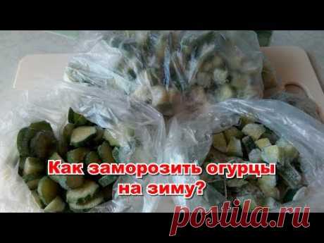 Как заморозить огурцы на зиму? ПРОСТО И ЛЕГКО!!!