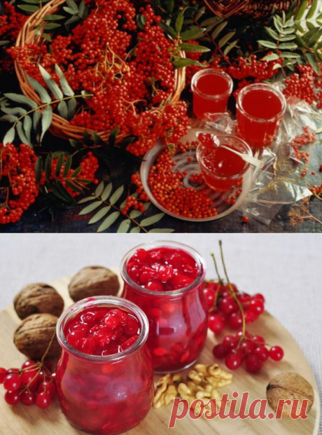 КАЛИНА В САХАРНОМ СИРОПЕ