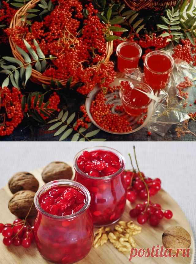 КАЛИНА В САХАРНОМ СИРОПЕ