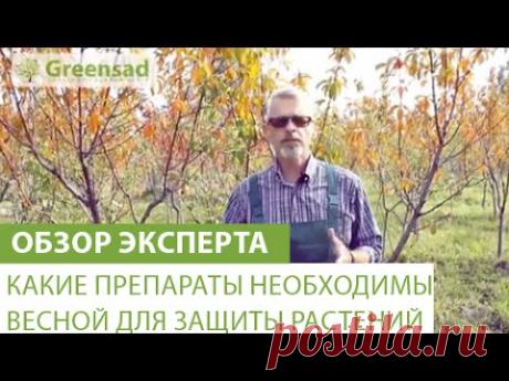 Какие препараты необходимы весной для защиты растений - YouTube