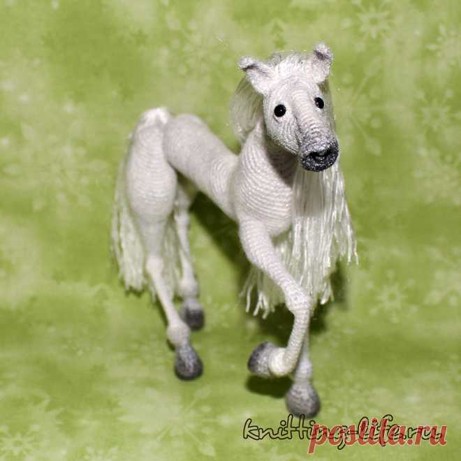 Конь Сильвер.
Стихотворение про то, что если жизнь вдруг ставит на колени, не надо сдаваться. Конь связан крючком.
#КоньСильвер #крючок #конь #лошадь #игрушка #вязание #вязанаяжизнь #вязанаяигрушка #вязаныйконь #вязанаялошадь #амигуруми #амигурумиконь #амигурумилошадь