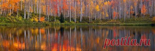 Фотограф Питер Лик (Peter Lik) - Фотохудожники - ФОТОЛАБОРАТОРИЯ - Каталог статей - ЛИНИИ ЖИЗНИ
