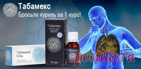 КАК ВЫРАЩИВАТЬ ВИНОГРАД БЕЗ ОСОБЫХ ХЛОПОТ.