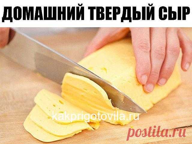 Домашний твердый сыр. Такой сыр можно смело давать малышу, ведь в нем не будет никаких ароматических добавок и красителей. — Домашние