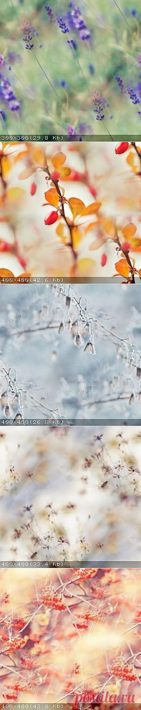@дневники — Прекрасные фоны для дневников
