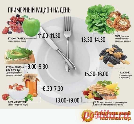 Как долго перевариваются продукты : таблица-помощница для худеющих