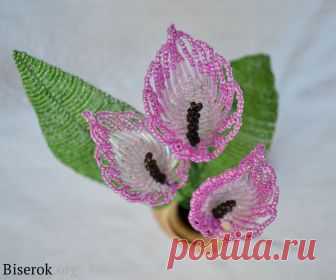 Цветы из бисера: каллы — Сделай сам, идеи для творчества - DIY Ideas