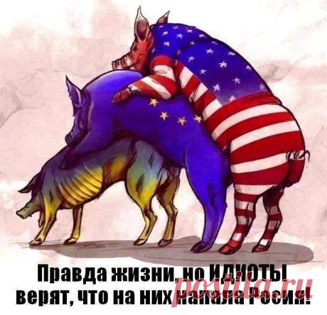 (54) Одноклассники