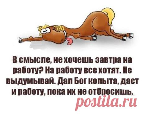 ► Шальная императрица