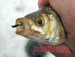 Рыбалка видео: Мормышка гвоздешарик