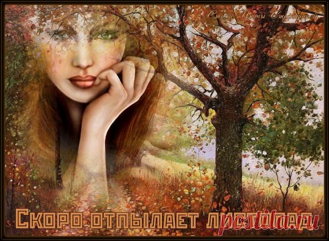 Скоро отпылает листопад ~ Стихи (Лирика пейзажная)