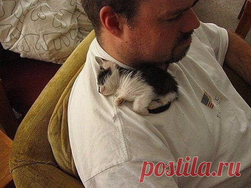 Хорошо, когда есть надежное плечо.