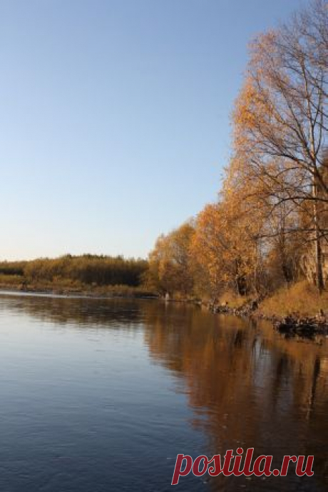 Осень на реке Большая Уссурка (Иман)
