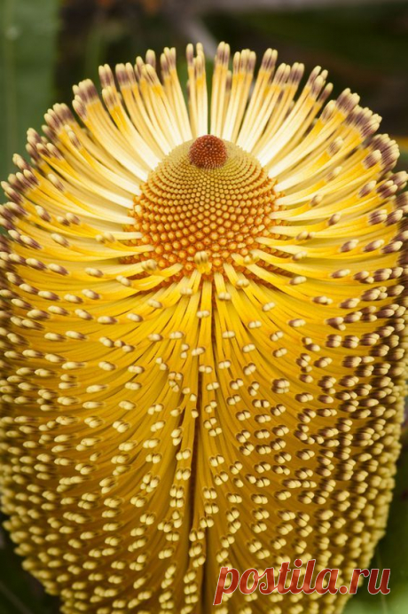 SOLAMENTE-BELLE-FOTO