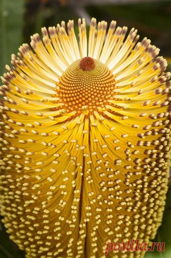 SOLAMENTE-BELLE-FOTO