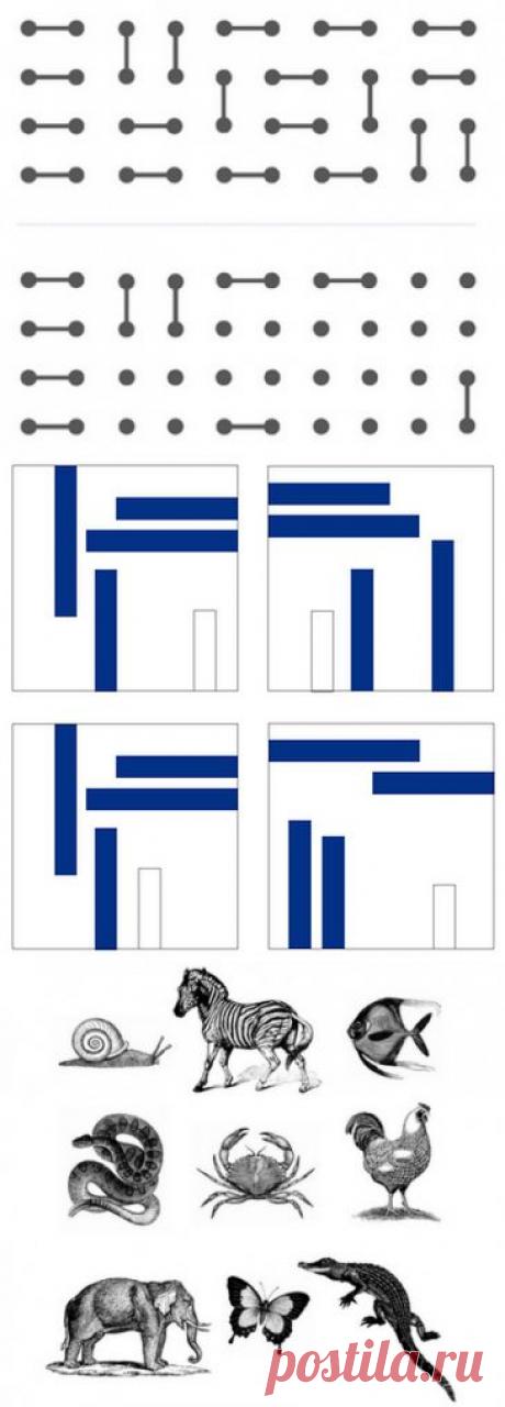 10 упражнений для тренировки памяти