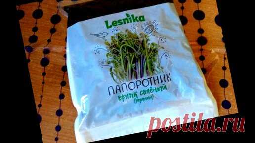 Готовим праздничный салат из папоротника 