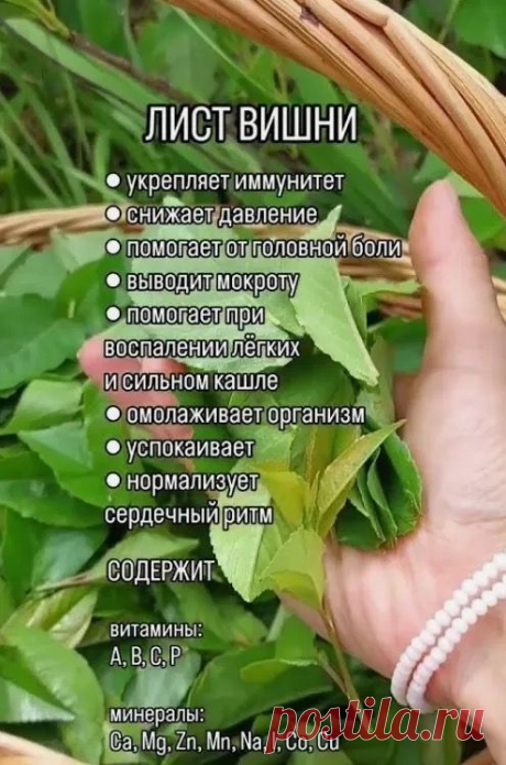 Pin page