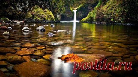 В чем суть мудрости? Точный ответ Лао-Цзы
Так много все рассуждают про #мудрость и мудрецов, пересказывают друг другу красивые...
Читай дальше на сайте. Жми подробнее ➡