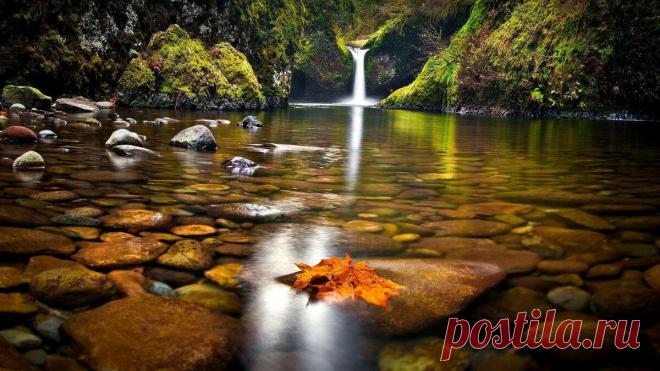 В чем суть мудрости? Точный ответ Лао-Цзы
Так много все рассуждают про #мудрость и мудрецов, пересказывают друг другу красивые...
Читай дальше на сайте. Жми подробнее ➡