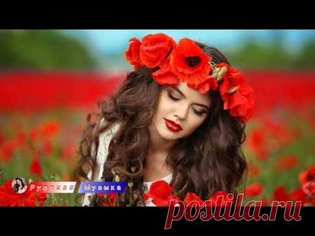 Шансон 2019 - Красивые песни в машину - Все Хиты!! Послушайте!!!