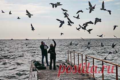 Россияне раскупили железнодорожные билеты на юг страны за три минуты. Россияне практически полностью раскупили железнодорожные билеты по наиболее востребованным южным направлениям на июль. Отмечается, что еще сутки назад приобрести билеты на поезда из Москвы в Анапу и Адлер с наиболее удобным быстрым расписанием было невозможно, так как РЖД временно ограничивал глубину продаж.