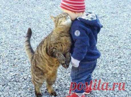 Следуй своей дорогой, и пусть люди говорят что угодно.
© Данте Алигьери