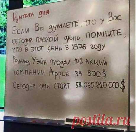 В точку! / Писец - приколы интернета