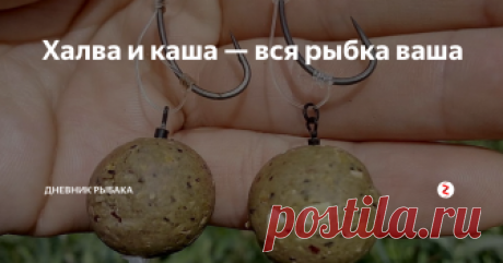 Халва и каша — вся рыбка ваша  Готовим наживку, не занимающую много времени, но дающую потрясающие результаты. Это сладкая и вкусная приманка, которую обязательно оценят такие сладкоежки, как карп и лещ. Другие виды белой рыбы тоже не останутся равнодушными к ароматной насадке.
Процесс готовки
Приманка имеет большое значение и во многих случаях является главным фактором успешной ловли. Для приготовления уловистой наживки, рецеп