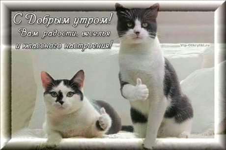 Доброе, классное утро | Музыкальные Открытки Бесплатно