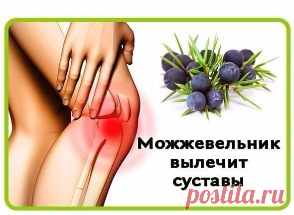 МОЖЖЕВЕЛЬНИК ВЫЛЕЧИТ СУСТАВЫ

Моя мама — очень хороший и доб­рый человек. Она моя са­мая лучшая подруга на всю жизнь. Знаю, что немногие мои подруги могли похвастаться такой близос­тью с мамой, а мы пронесли на­шу дружбу через многие годы. Не отдалились мы и после того, как я вышла замуж.

Моя мама никогда не стремилась настраи­вать меня против му­жа, как это часто делают тещи. Она любит и моего мужа, и его родите­лей, и своих внуков.

Муж тещу вообще обо­жает, говорит, чт...