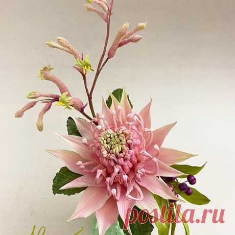 Photo by Alan Dunn on November 25, 2020. Image may contain: flower and plant.