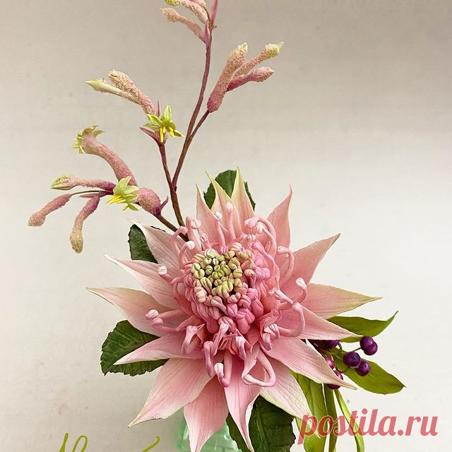 Photo by Alan Dunn on November 25, 2020. Image may contain: flower and plant.