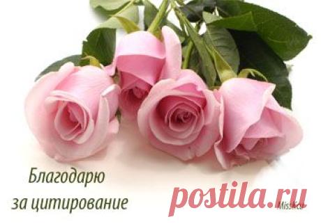 Сундук ПОЛЕЗНОСТЕЙ