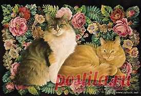 рисунки и картинки кошек и котят - Bing images