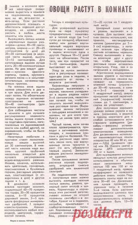 Овощи растут в комнате