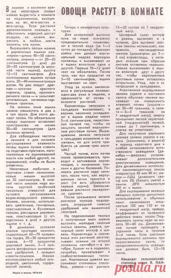 Овощи растут в комнате