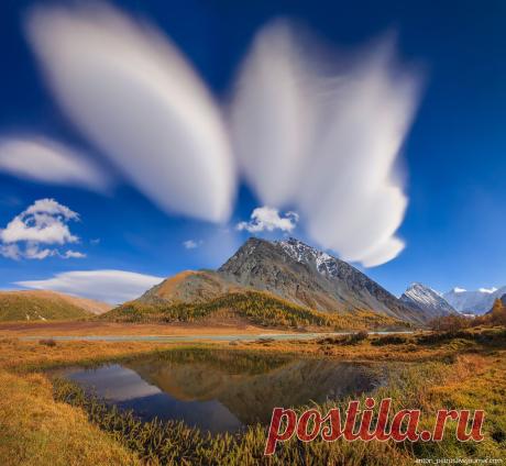Лучшие фотографии ЖЖ 2014! От мала до велика! | Мир Фотографии