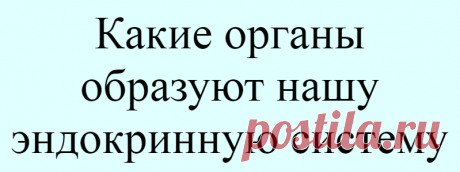 Какие органы образуют нашу эндокринную систему
Наша молодость, продление жизни, трудоспособность зависят от работы желез внутренней секреции. А это значит, что мы должны знать, каковы потребности этих желез.          Состояние психики и работоспособность мозга зависят от работы желез внутренней секреции. Все железы внутренней секреции взаимосвязаны. К сожалению, в лекарственной медицине каждой...
Читай дальше на сайте. Жми подробнее ➡