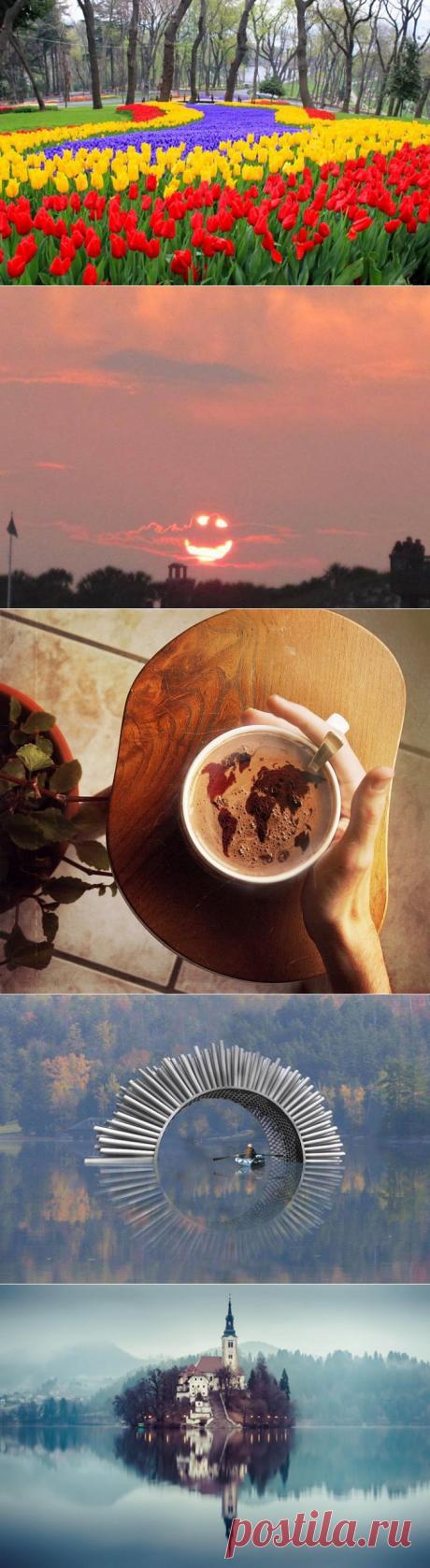 fit4brain : Фототерапия | Postila.ru