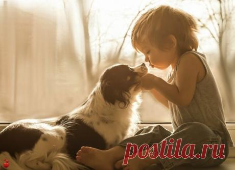 Шикарное стихотворение