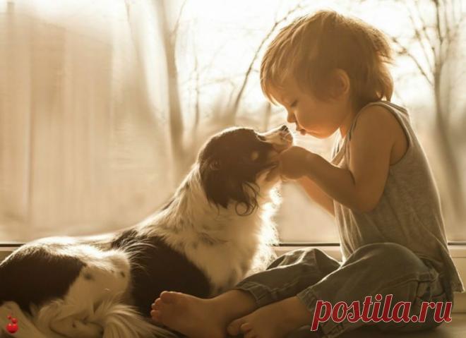 Шикарное стихотворение