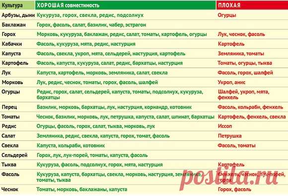​Таблица совместимости растений Нажмите на картинку для увеличения.
