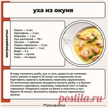 Уха из окуня