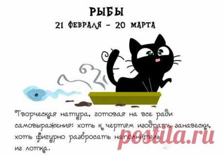 Кошачий Зодиак для хорошего настроения на весь день | Изюминки