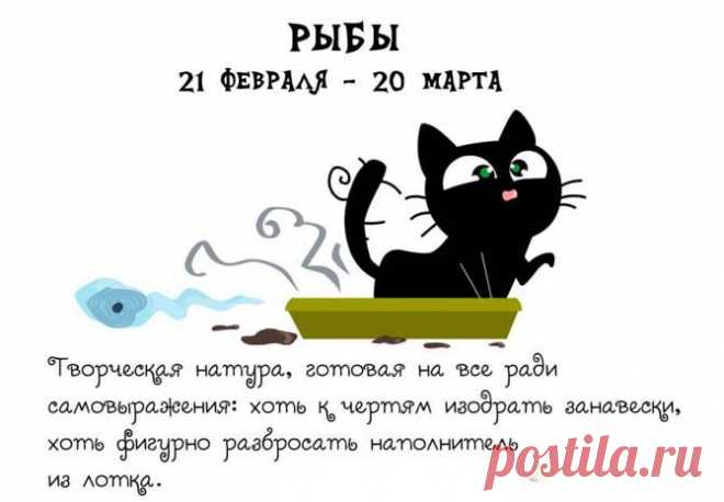 Кошачий Зодиак для хорошего настроения на весь день | Изюминки