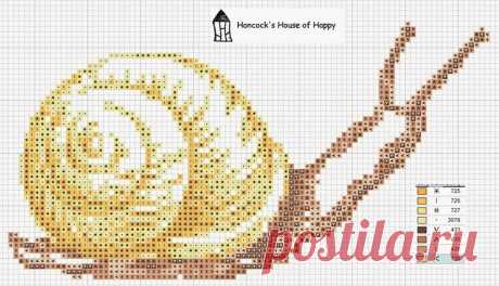 Snail