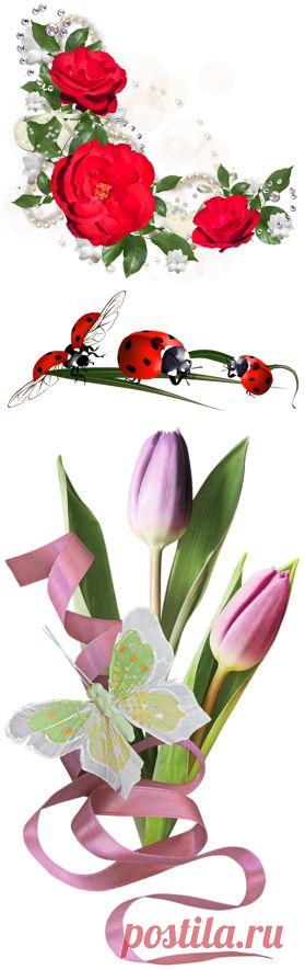 очень красивый декор «цветочный» png.