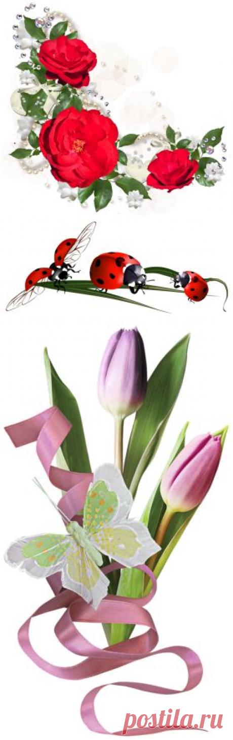 очень красивый декор «цветочный» png.